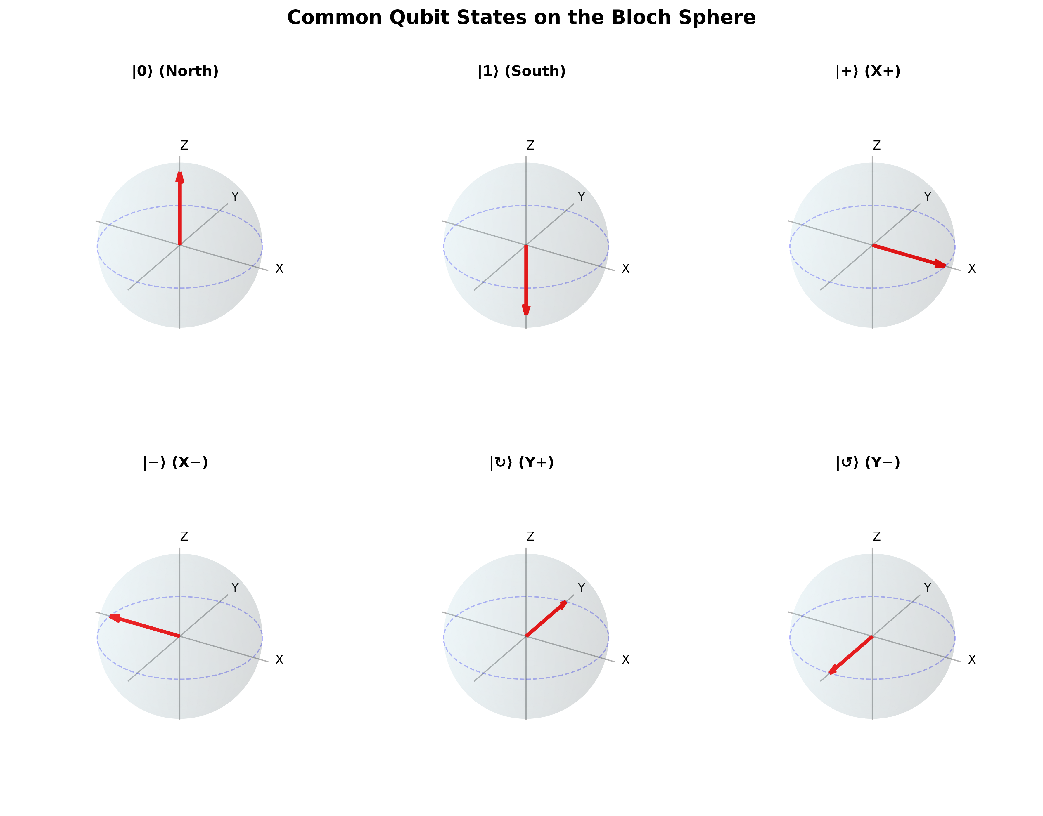 Common Qubit States on the Bloch Sphere