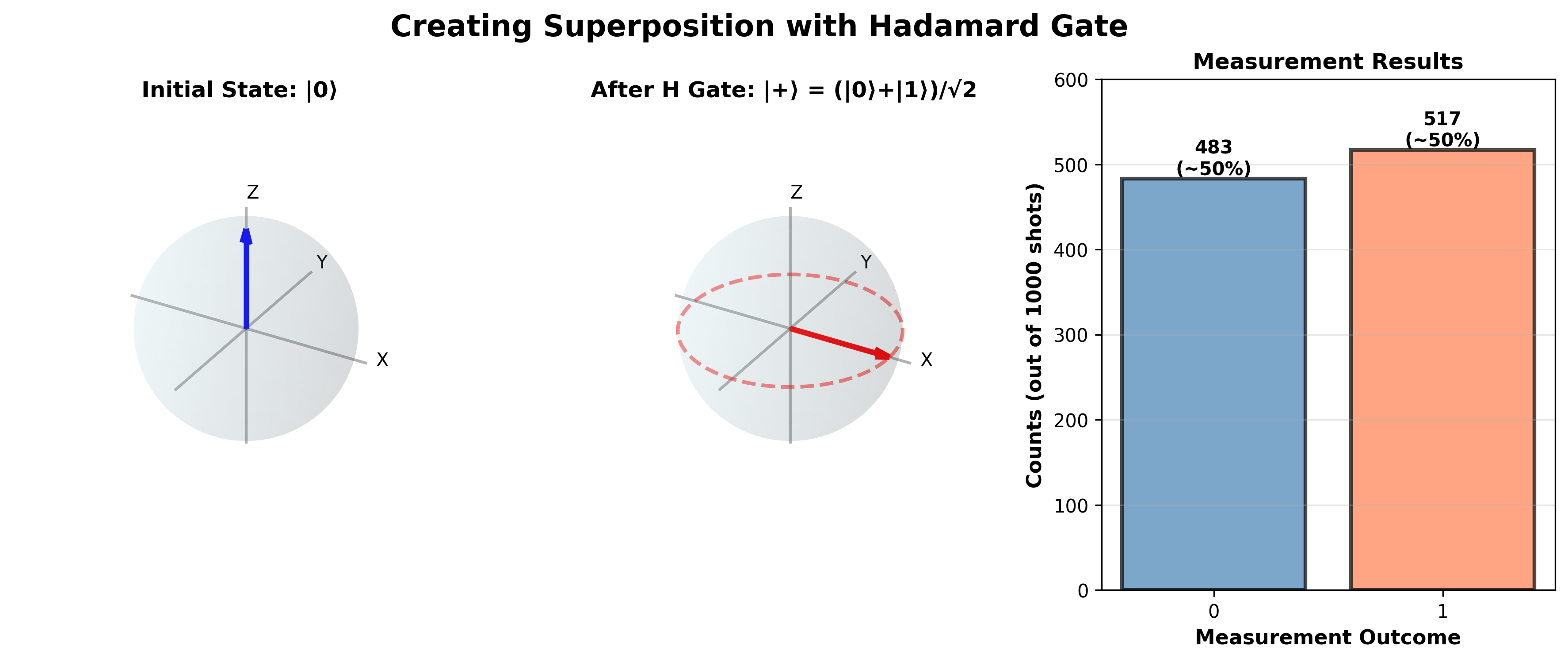 Superposition Evolution